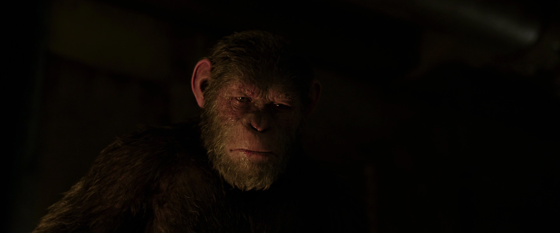 War for the Planet of the Apes (2017) screencap 13854