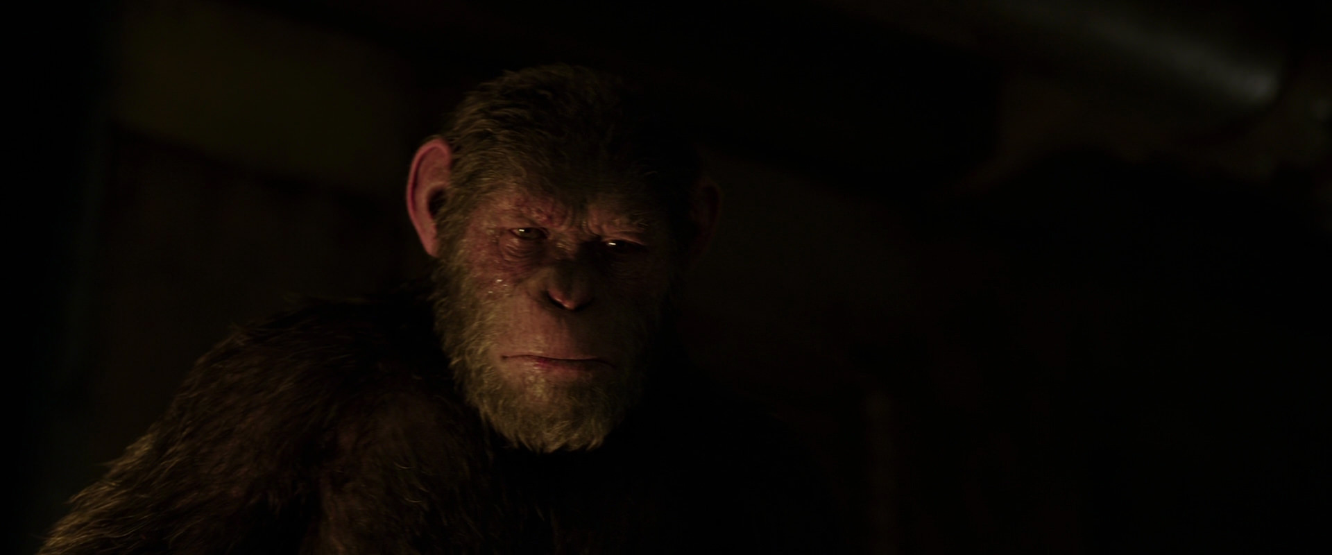 War for the Planet of the Apes (2017) movie still 13855