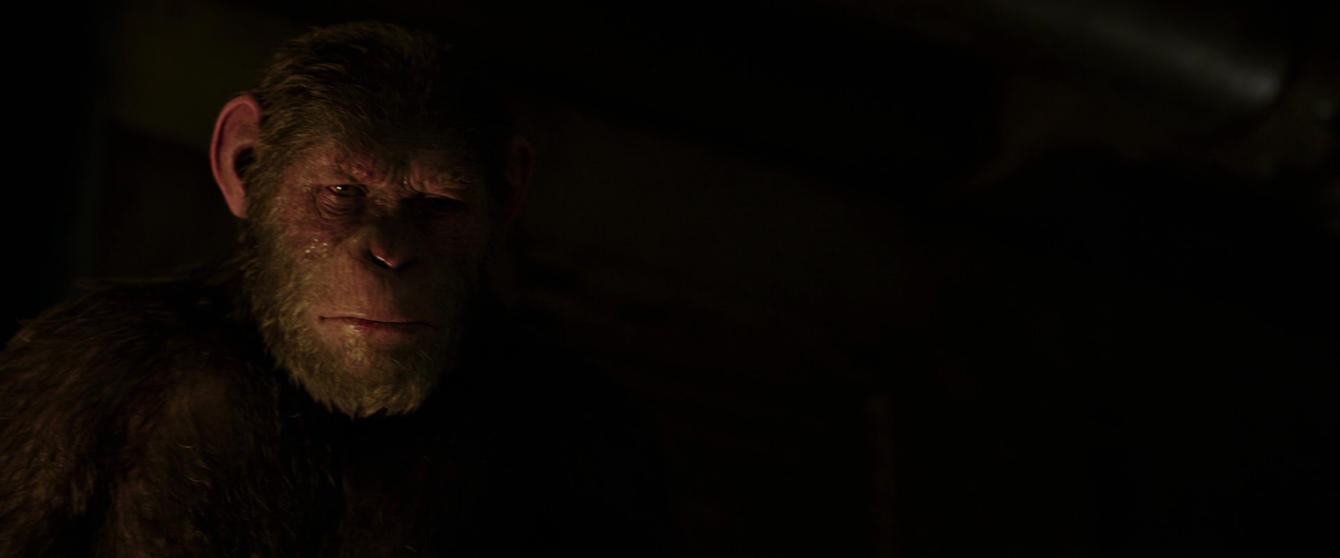 War for the Planet of the Apes (2017) screencap 13857