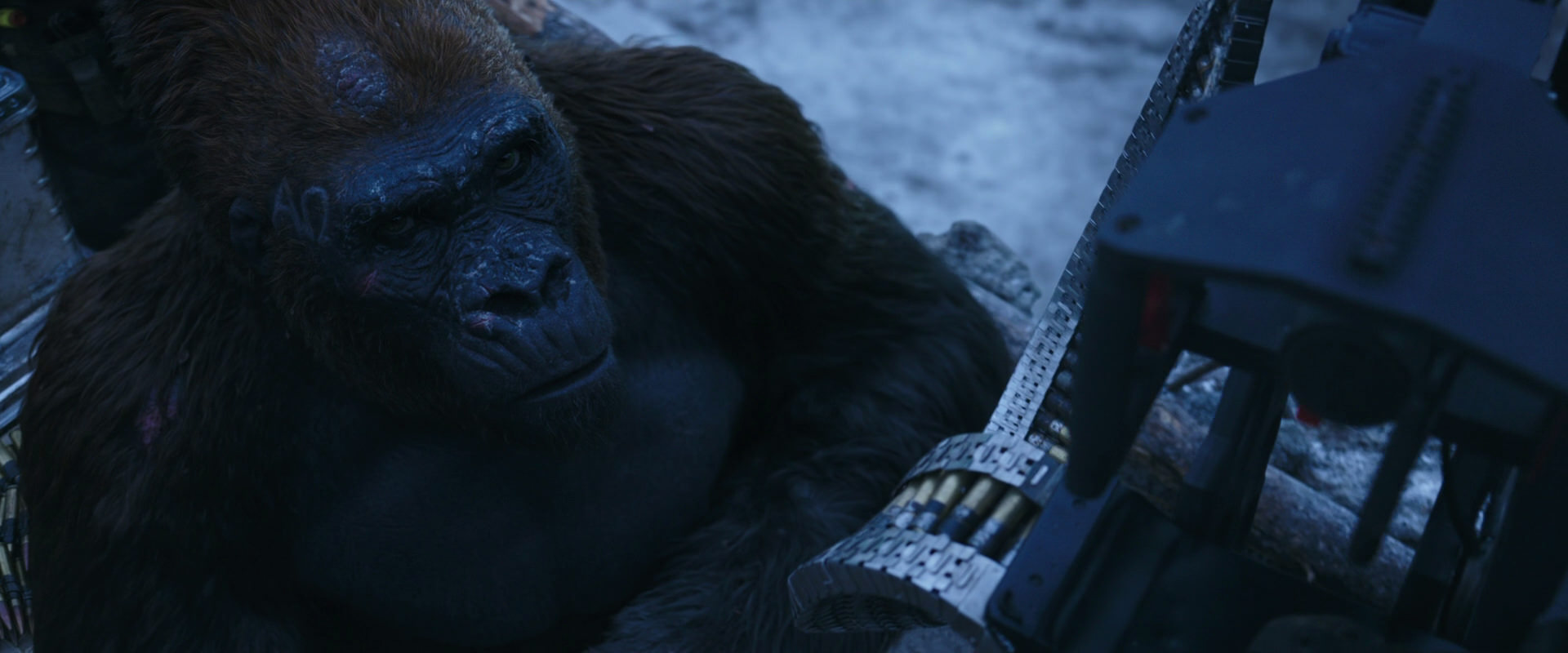 War for the Planet of the Apes (2017) screencap 13944
