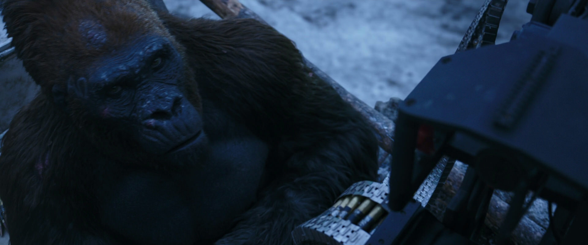 War for the Planet of the Apes (2017) movie still 13945