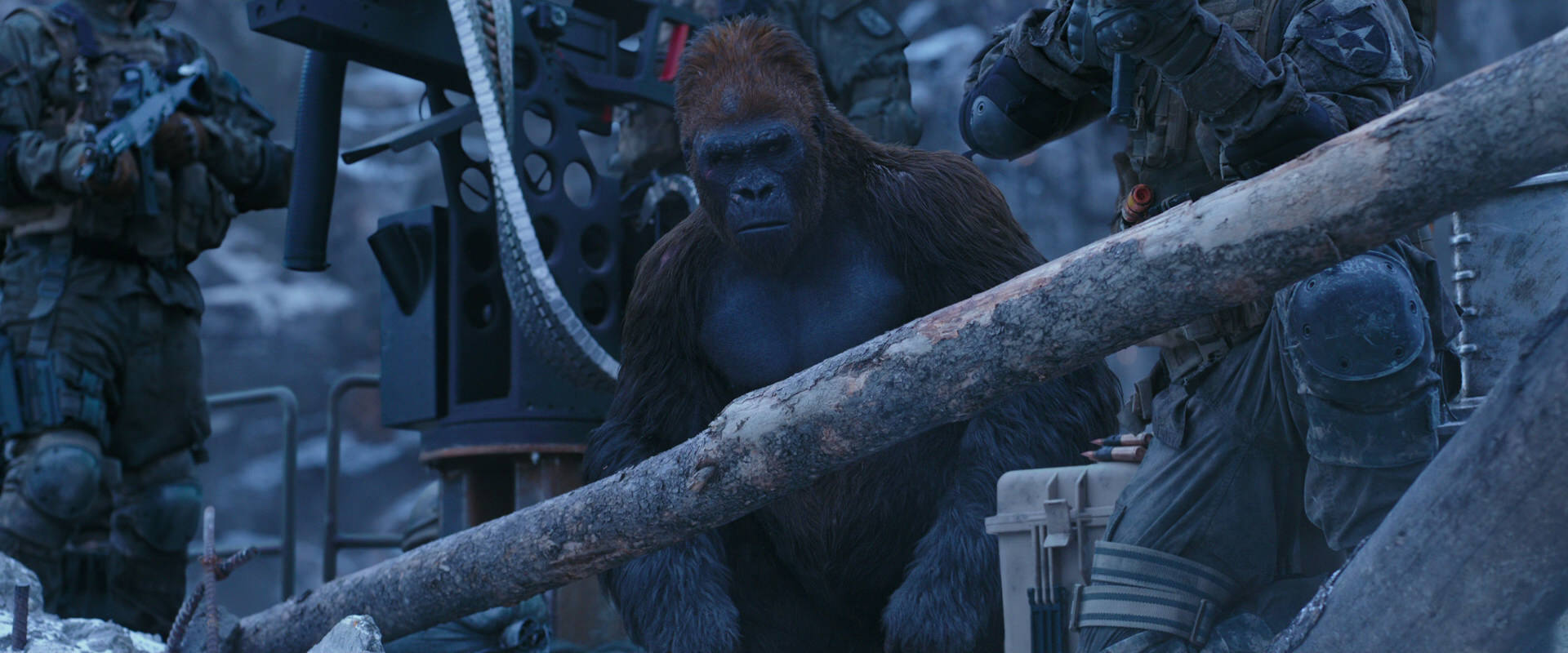 War for the Planet of the Apes (2017) HD screenshot 13961