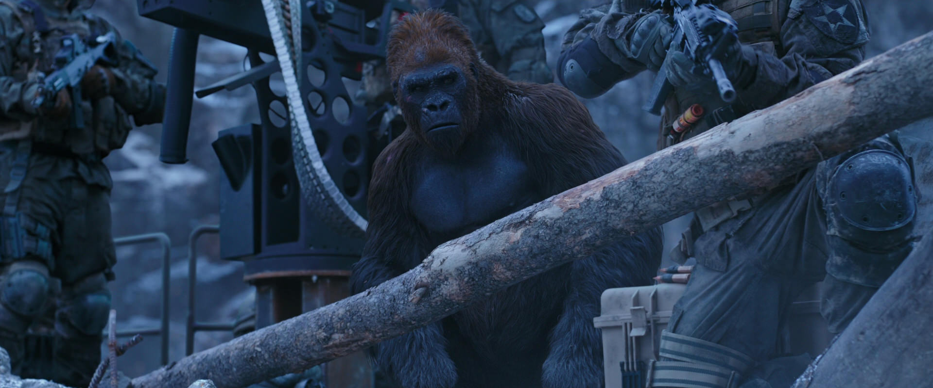 War for the Planet of the Apes (2017) screencap 13962