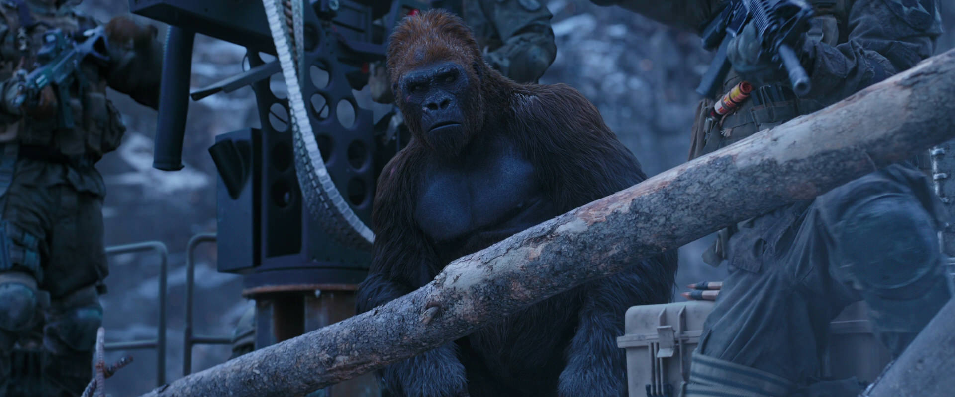 War for the Planet of the Apes (2017) movie still 13963