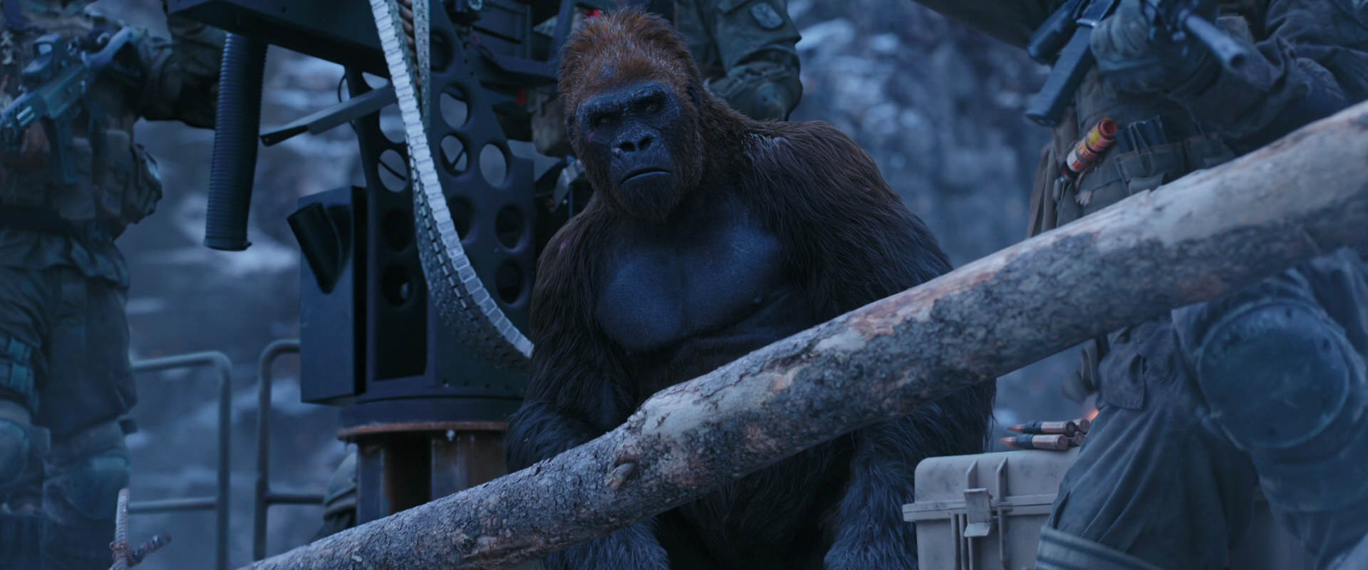 War for the Planet of the Apes (2017) HD screenshot 13964