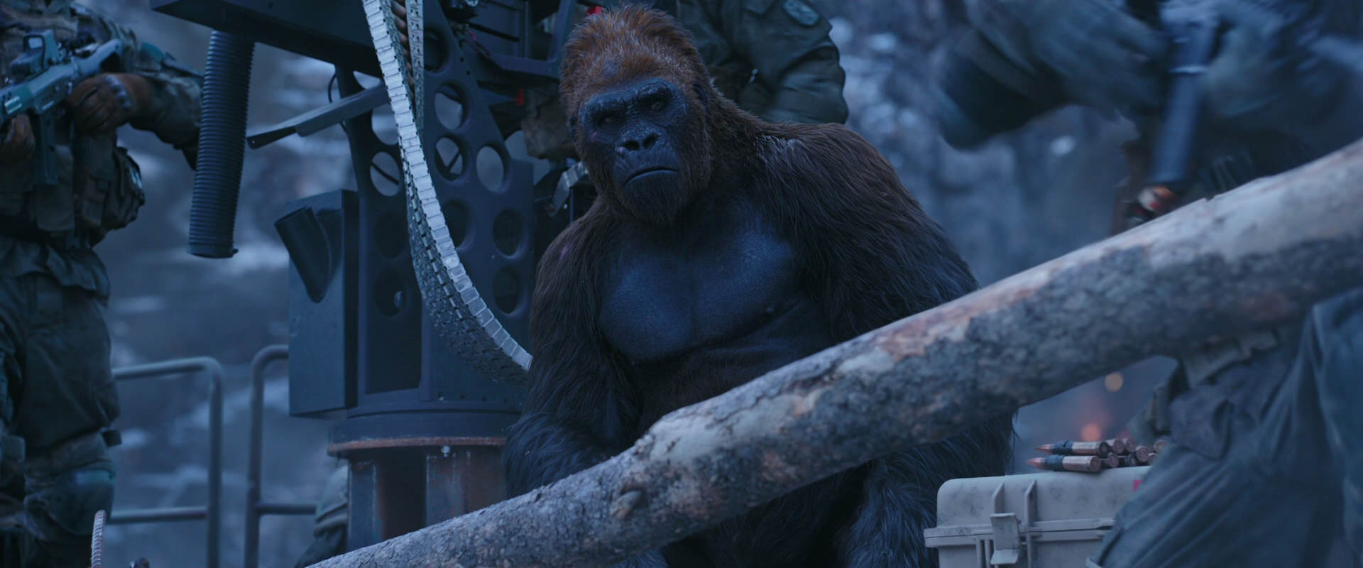 War for the Planet of the Apes (2017) screencap 13965