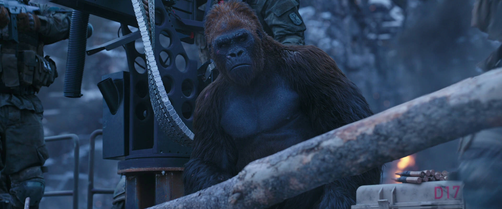 War for the Planet of the Apes (2017) movie still 13966