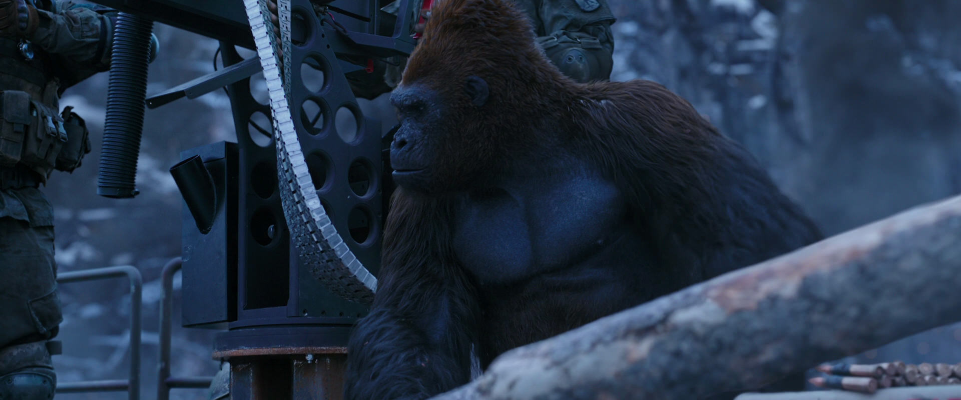 War for the Planet of the Apes (2017) screencap 13968