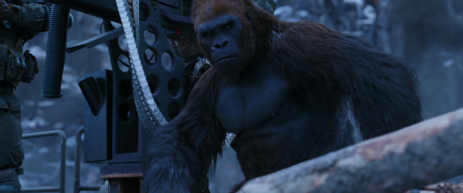 War for the Planet of the Apes (2017) movie still 13969