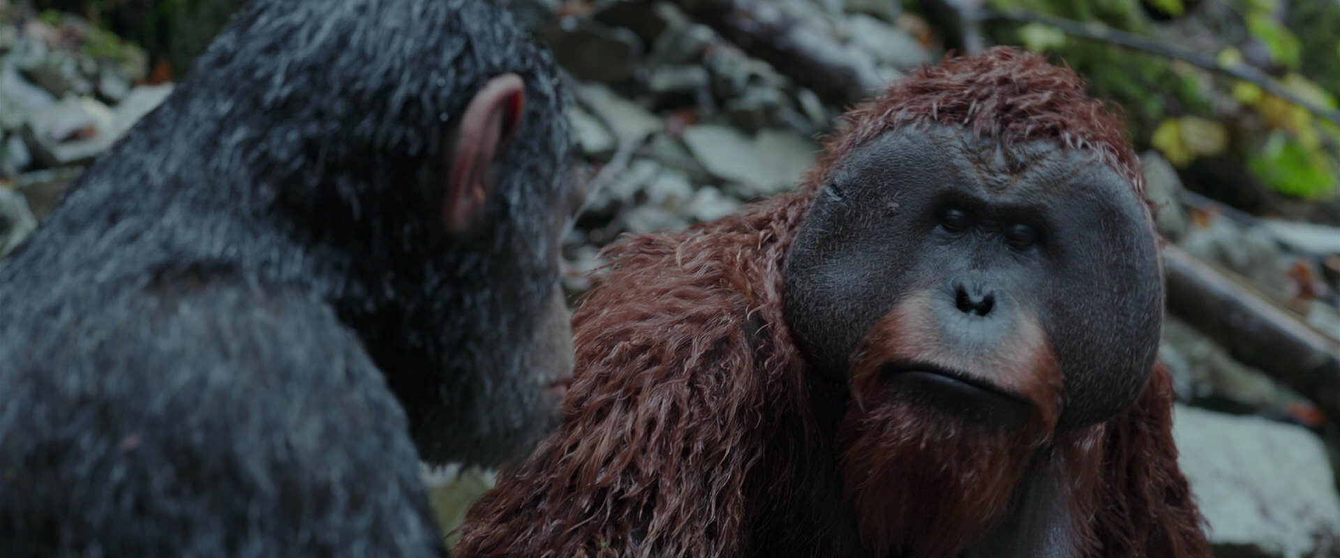 War for the Planet of the Apes (2017) screencap 1398