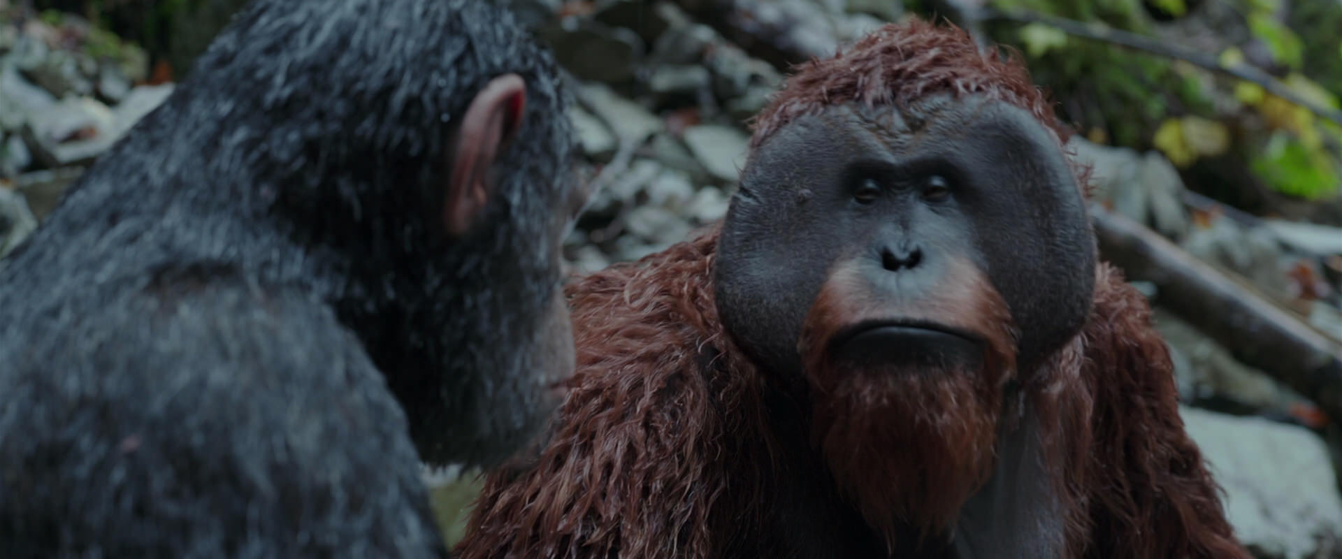 War for the Planet of the Apes (2017) movie still 1399