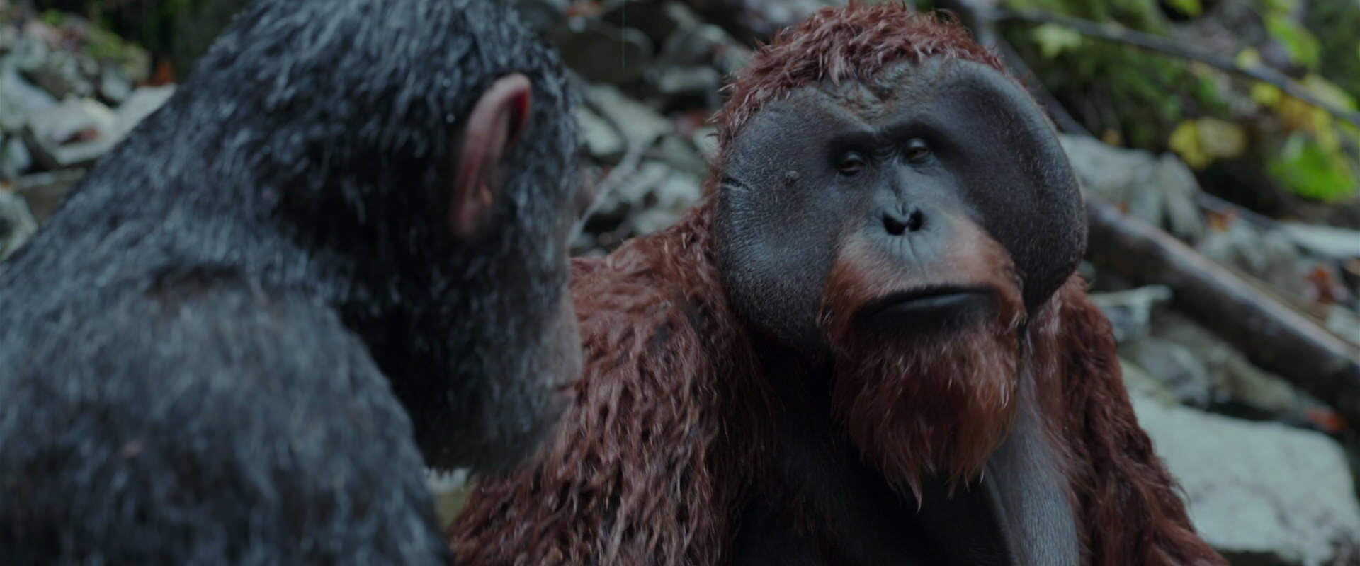 War for the Planet of the Apes (2017) HD screenshot 1400