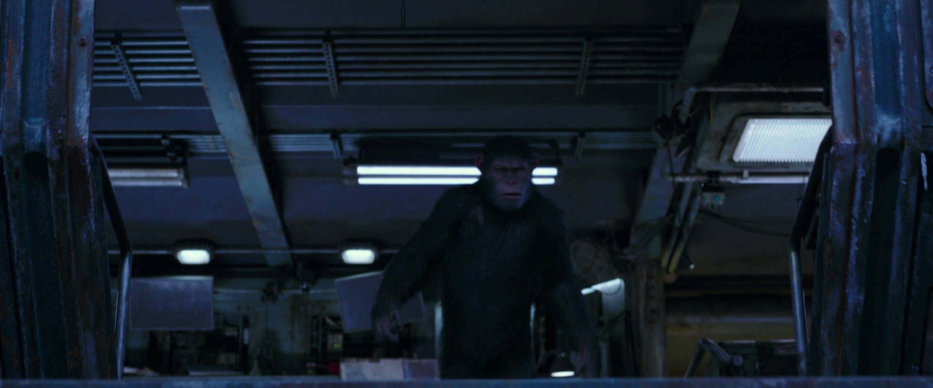 War for the Planet of the Apes (2017) movie still 14002