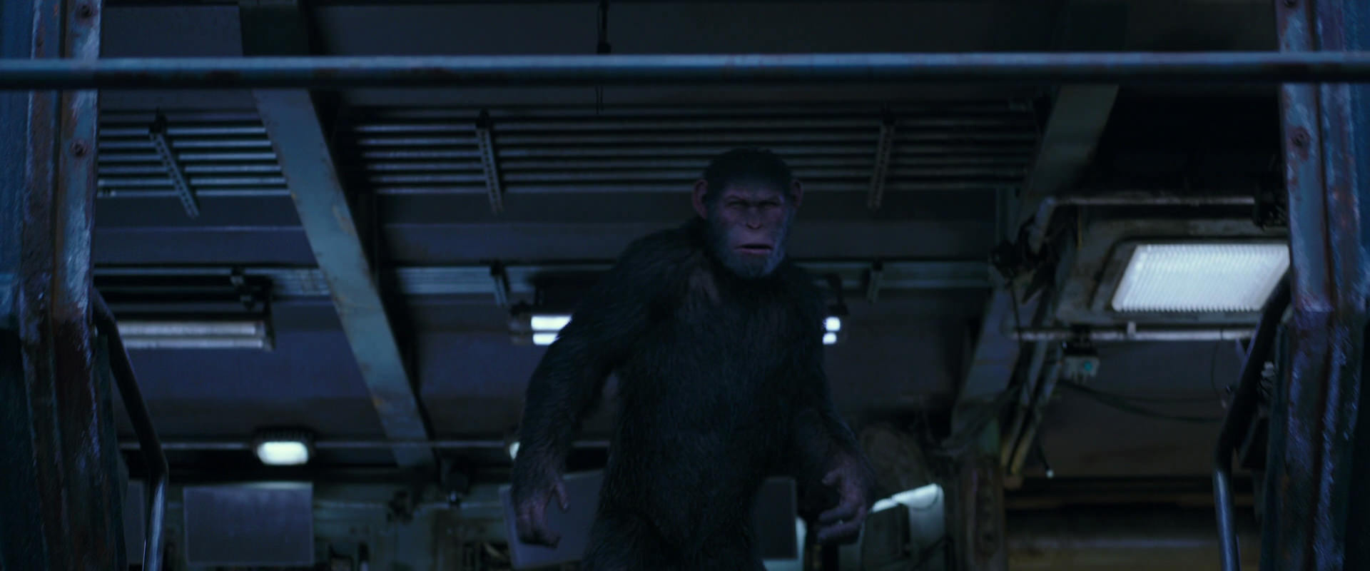War for the Planet of the Apes (2017) HD screenshot 14003