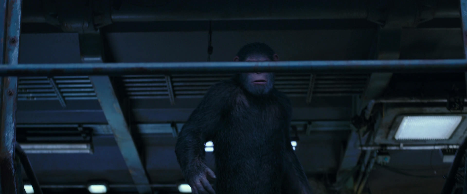 War for the Planet of the Apes (2017) screencap 14004