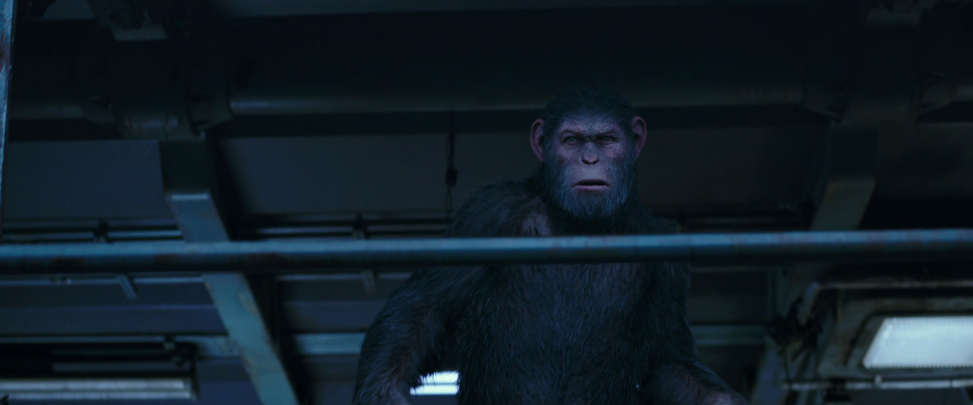 War for the Planet of the Apes (2017) movie still 14005