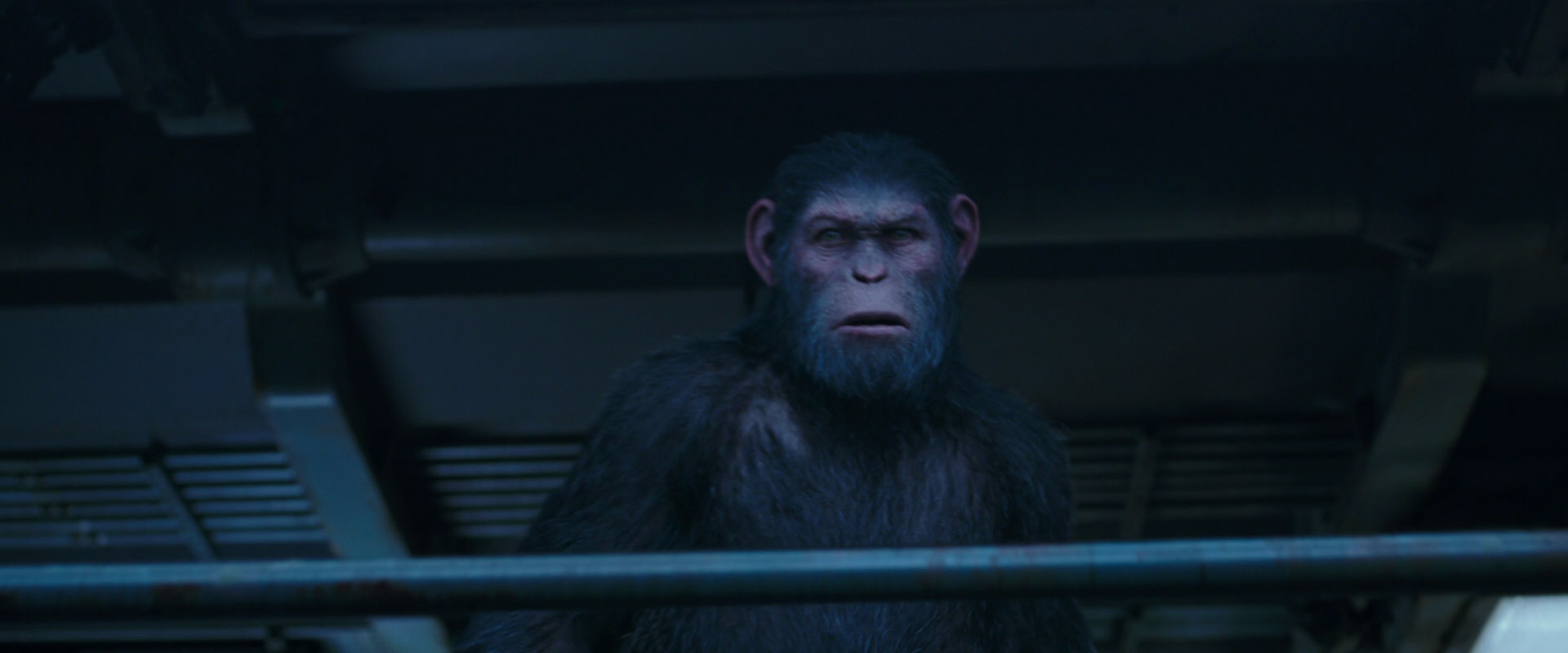 War for the Planet of the Apes (2017) HD screenshot 14006