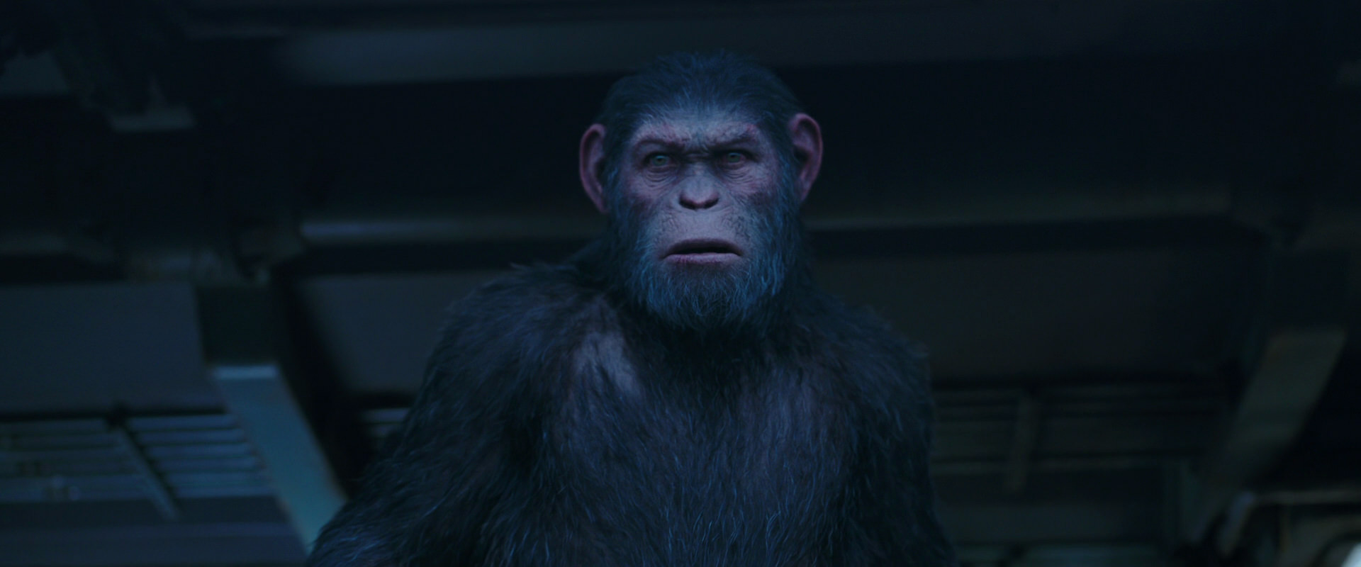 War for the Planet of the Apes (2017) screencap 14007
