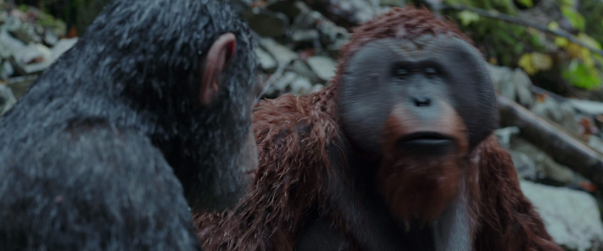 War for the Planet of the Apes (2017) screencap 1401