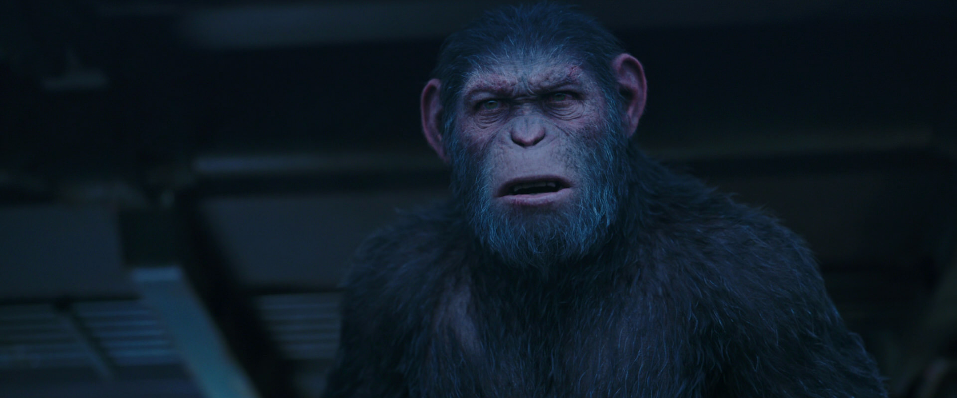 War for the Planet of the Apes (2017) HD screenshot 14012