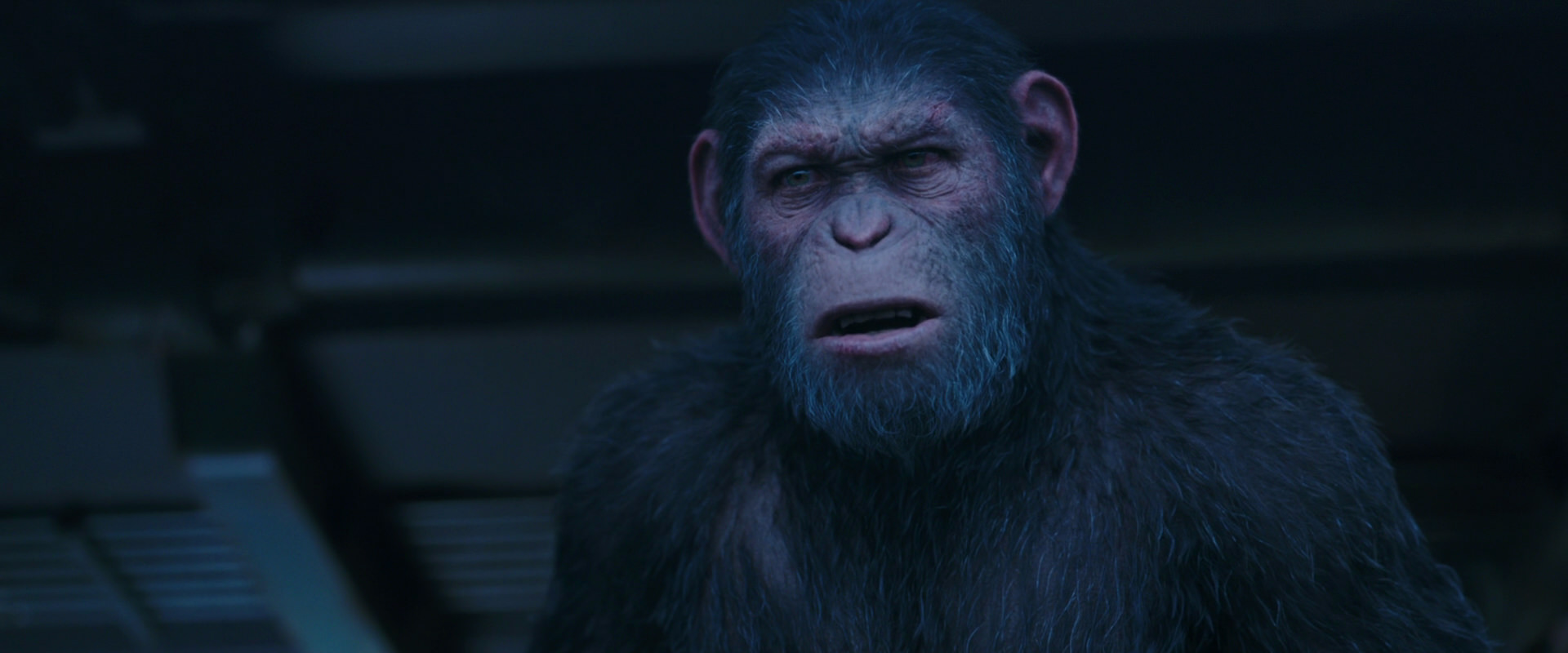 War for the Planet of the Apes (2017) movie still 14014