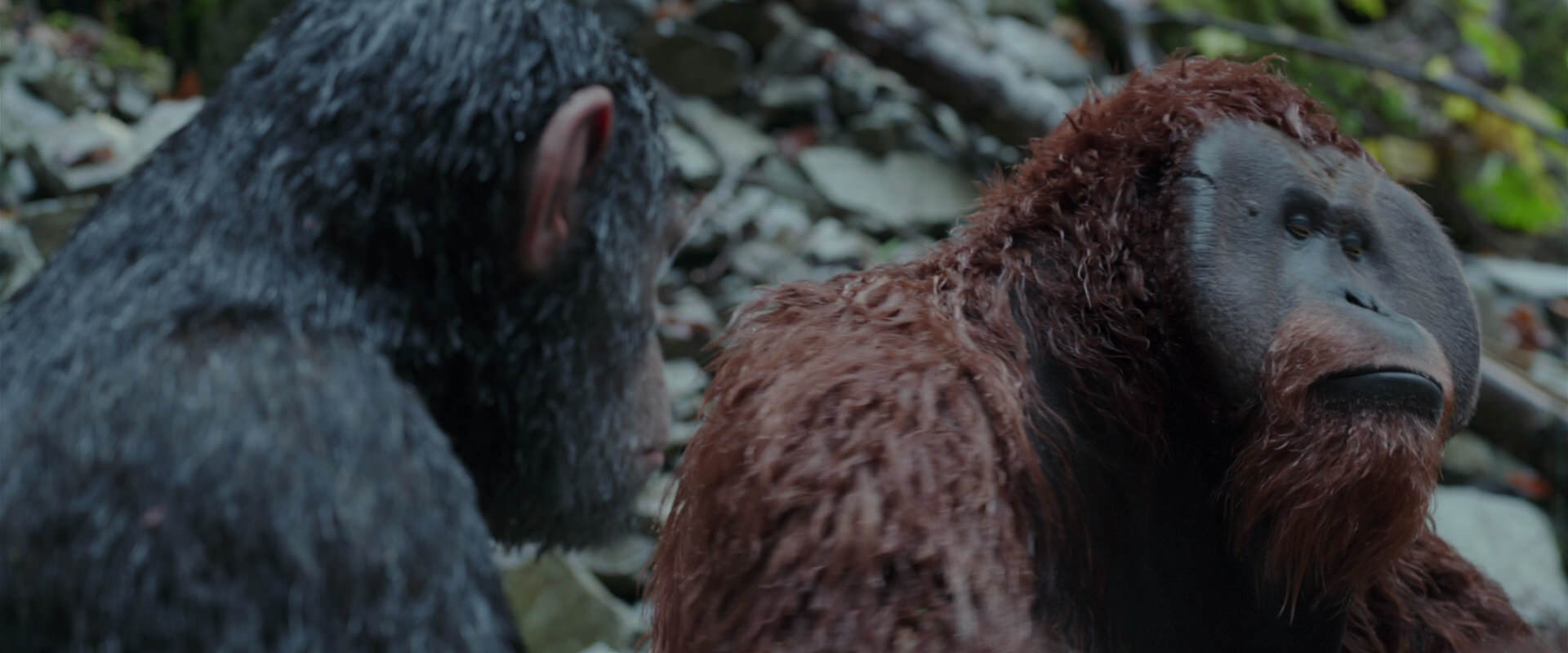 War for the Planet of the Apes (2017) movie still 1402