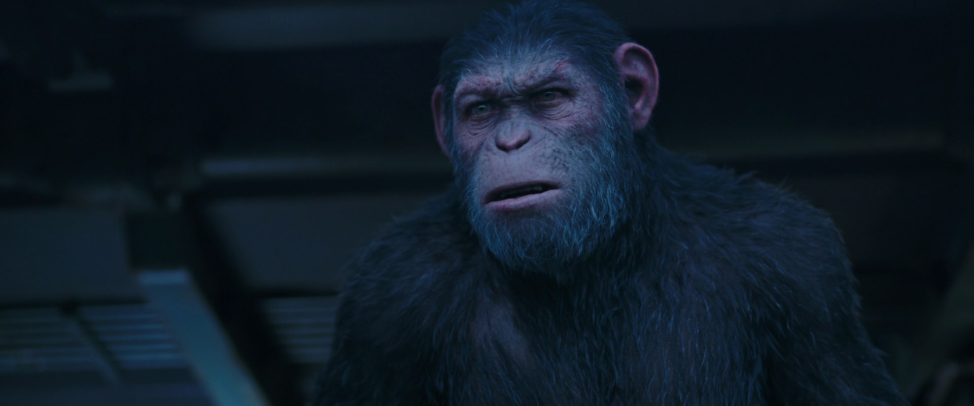 War for the Planet of the Apes (2017) screencap 14028