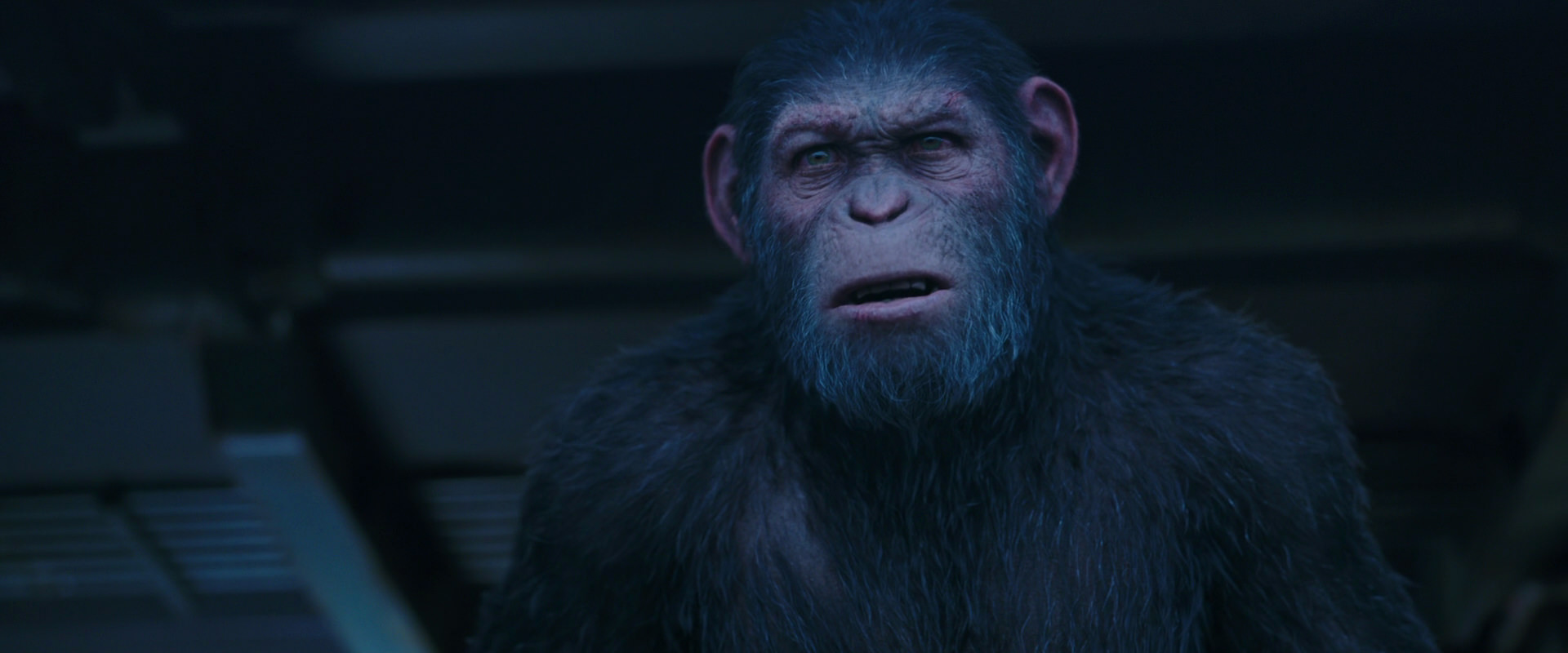War for the Planet of the Apes (2017) movie still 14029