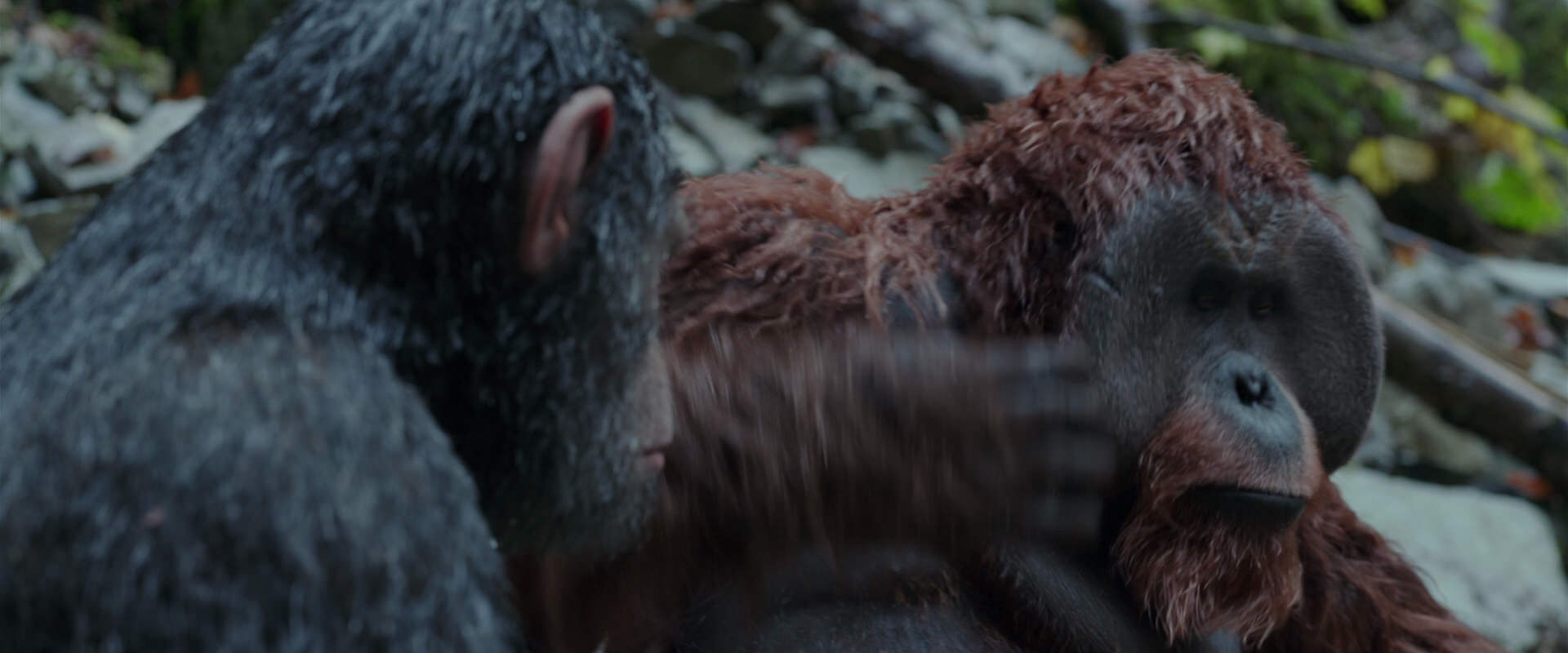 War for the Planet of the Apes (2017) HD screenshot 1403
