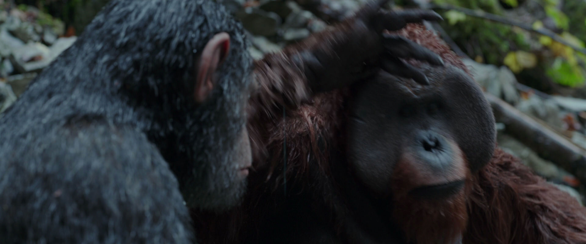War for the Planet of the Apes (2017) screencap 1404