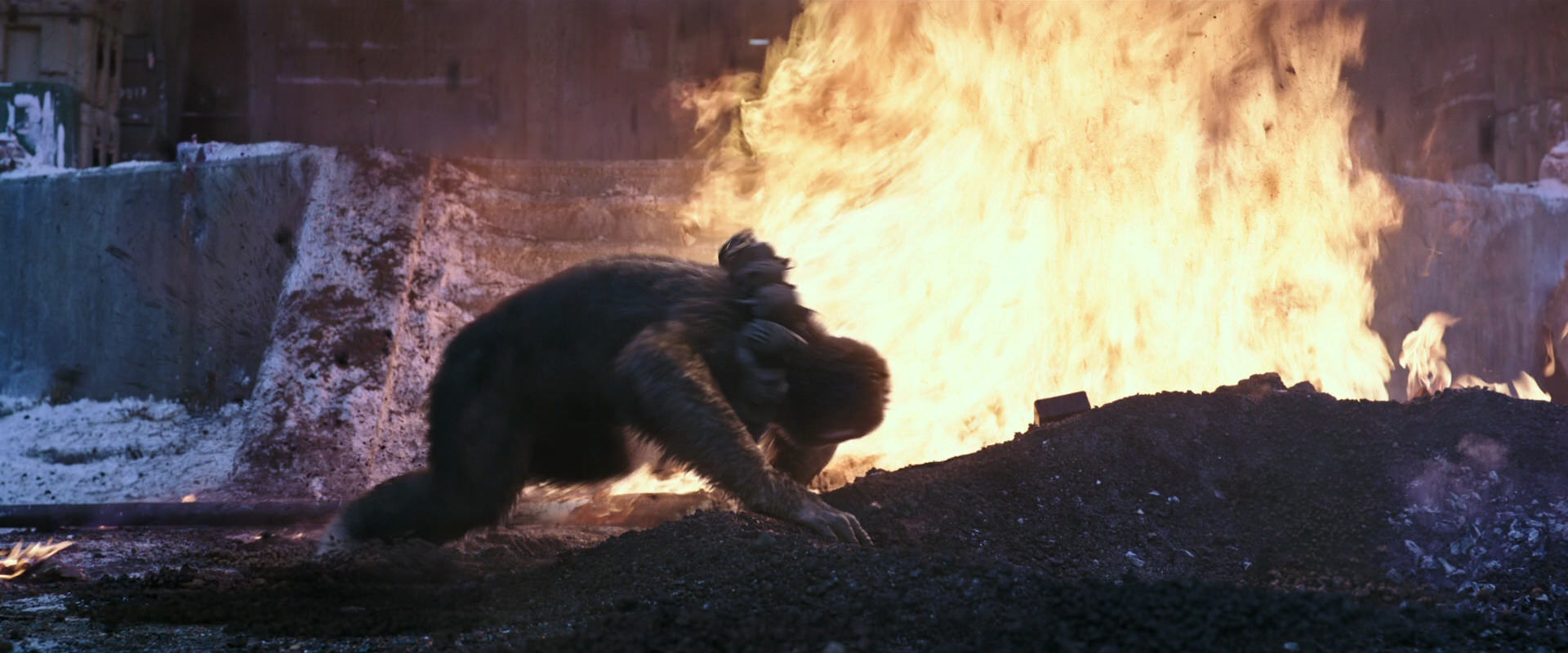 War for the Planet of the Apes (2017) screencap 14067