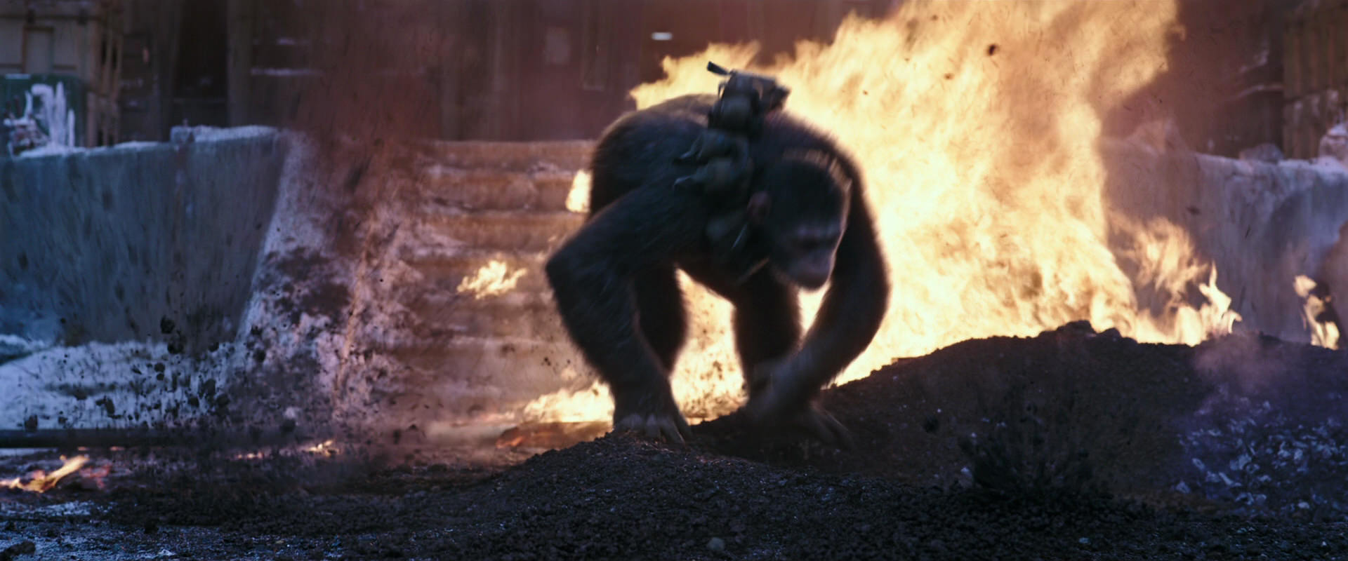 War for the Planet of the Apes (2017) movie still 14068