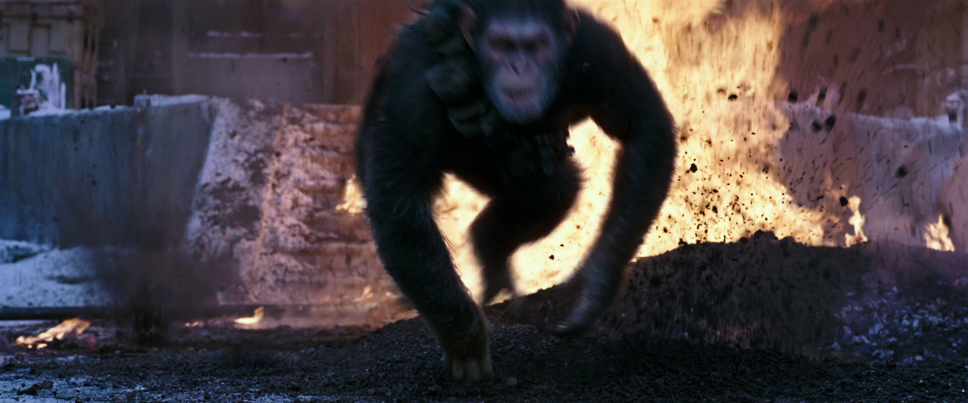 War for the Planet of the Apes (2017) HD screenshot 14069