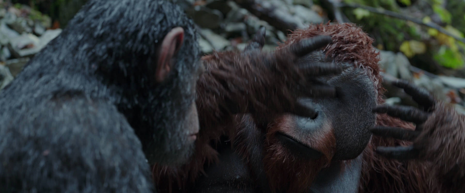 War for the Planet of the Apes (2017) screencap 1407