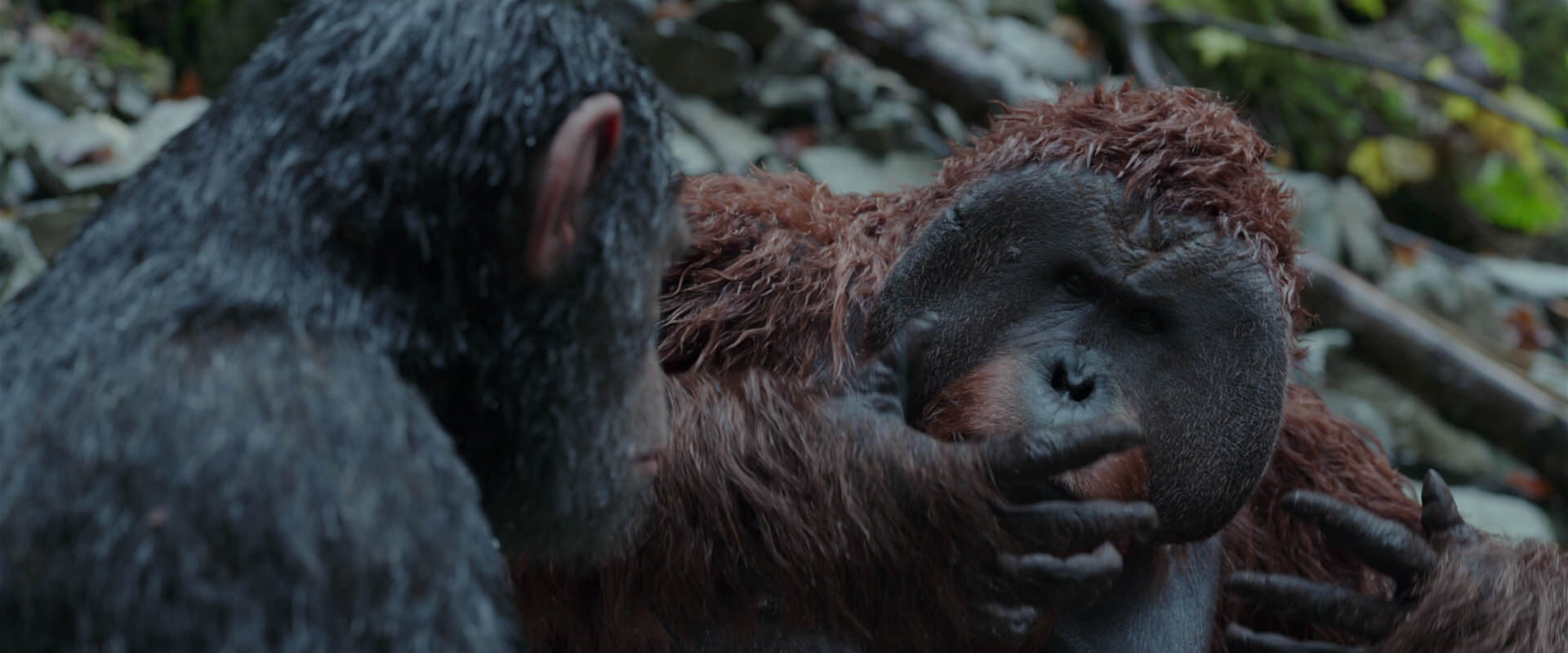 War for the Planet of the Apes (2017) movie still 1408