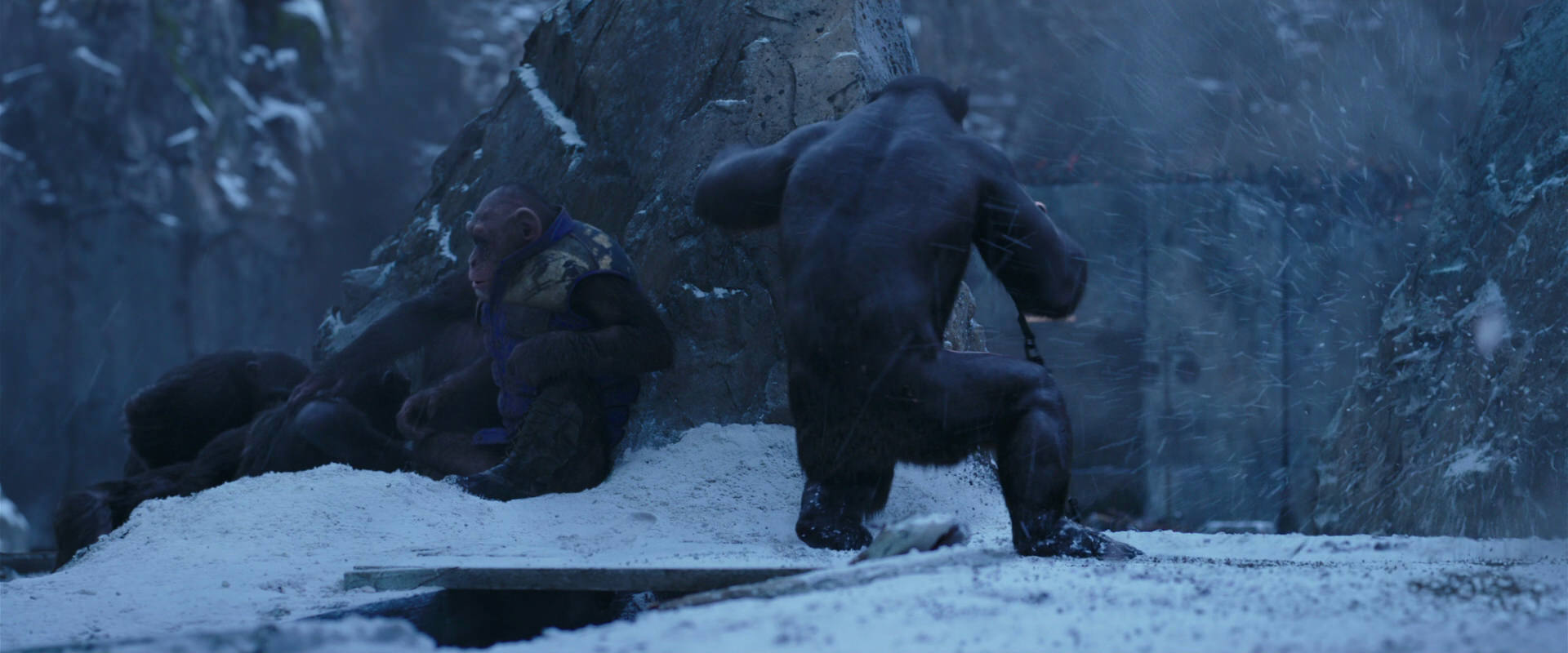 War for the Planet of the Apes (2017) screencap 14085