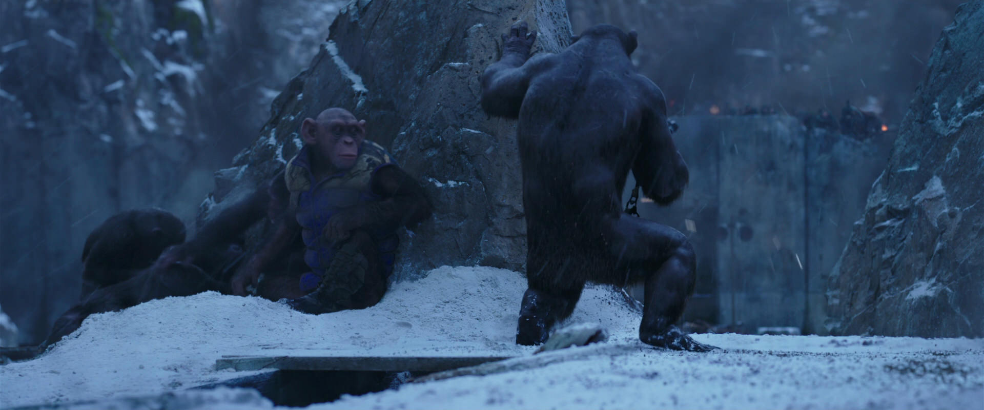 War for the Planet of the Apes (2017) movie still 14086