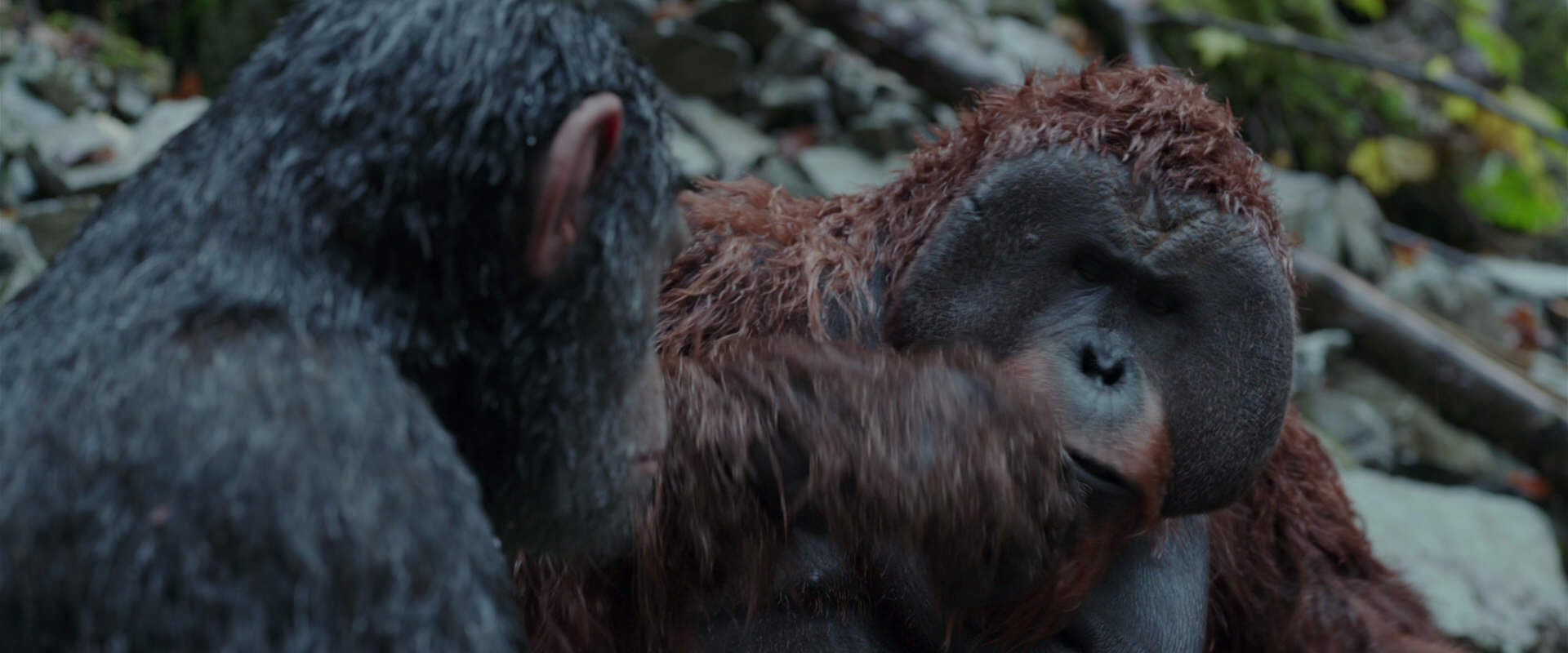 War for the Planet of the Apes (2017) HD screenshot 1409