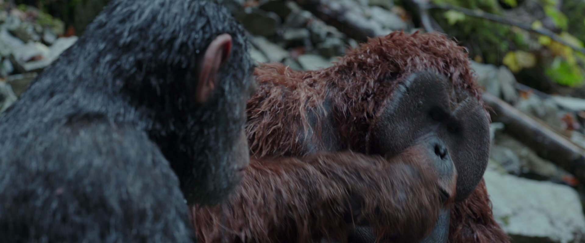 War for the Planet of the Apes (2017) screencap 1410