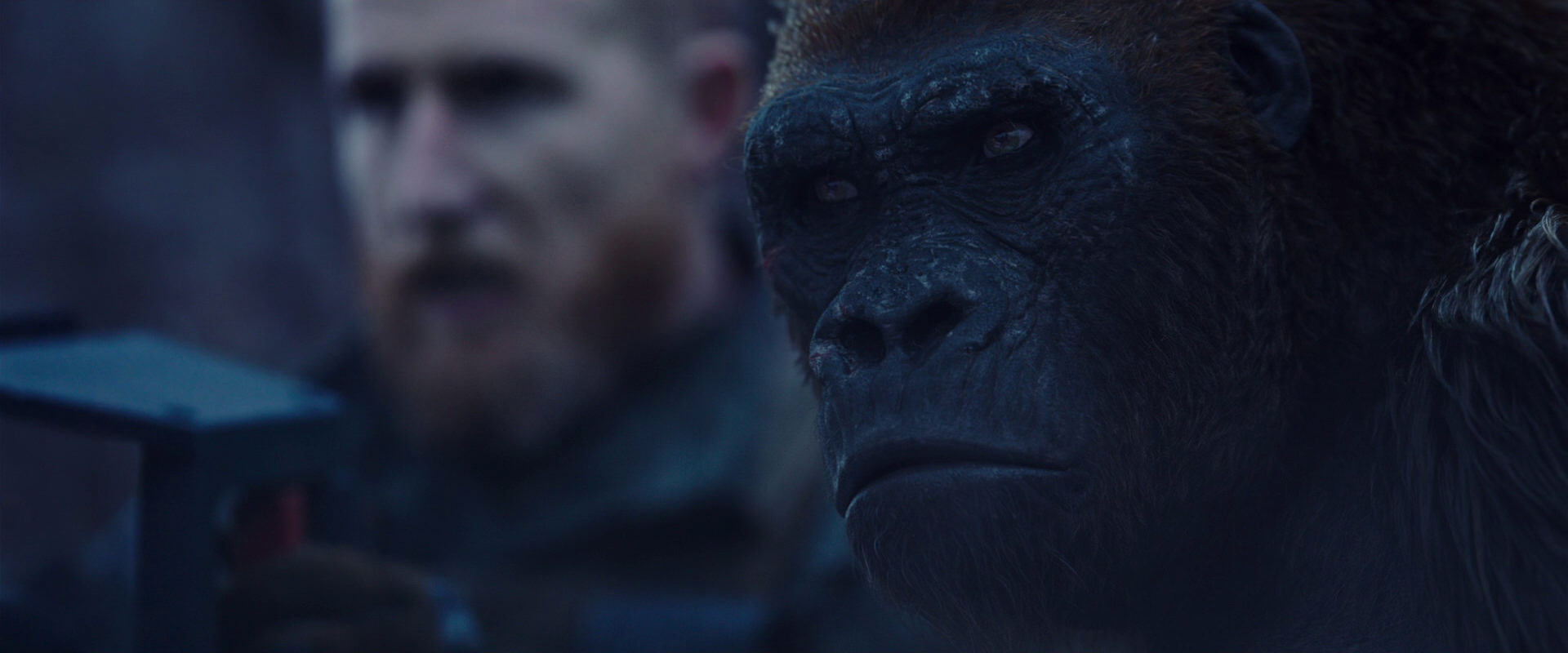 War for the Planet of the Apes (2017) screencap 14106