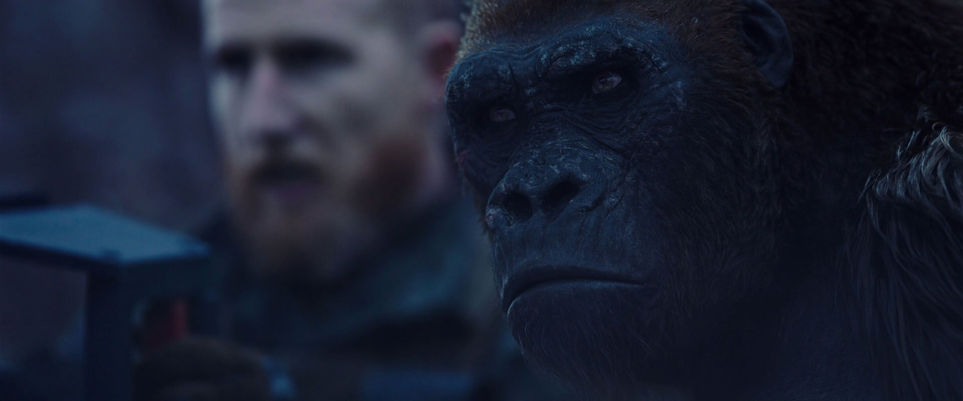War for the Planet of the Apes (2017) movie still 14107
