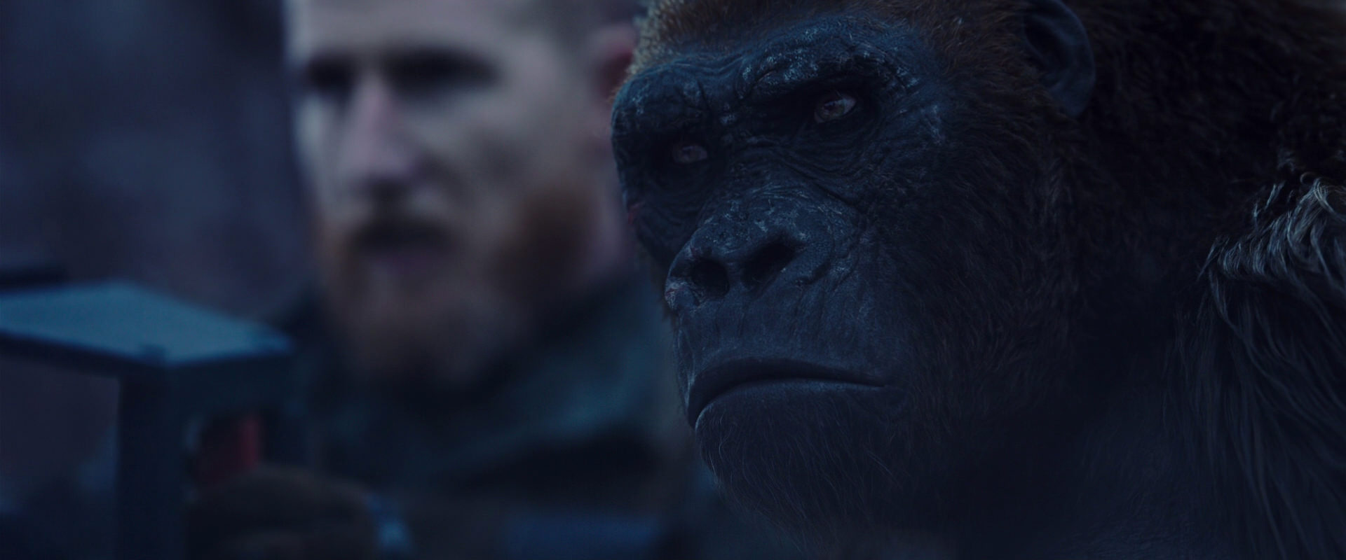 War for the Planet of the Apes (2017) screencap 14109