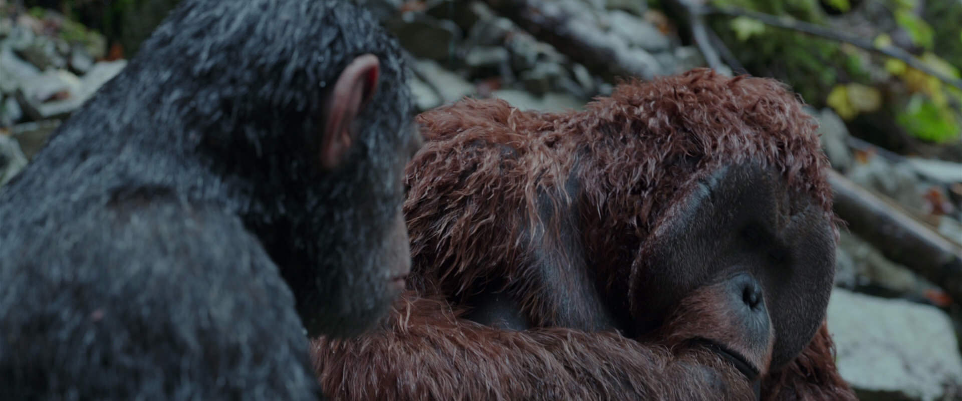 War for the Planet of the Apes (2017) movie still 1411
