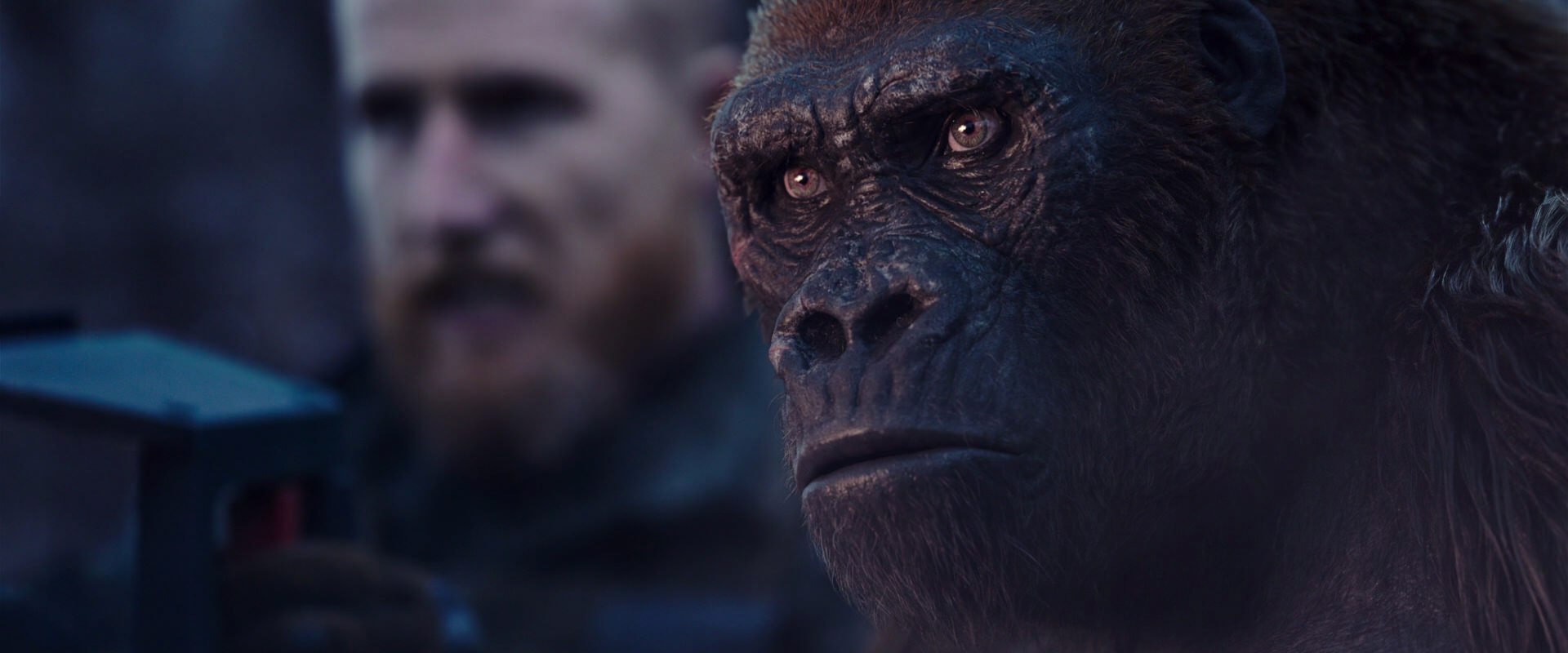 War for the Planet of the Apes (2017) screencap 14115