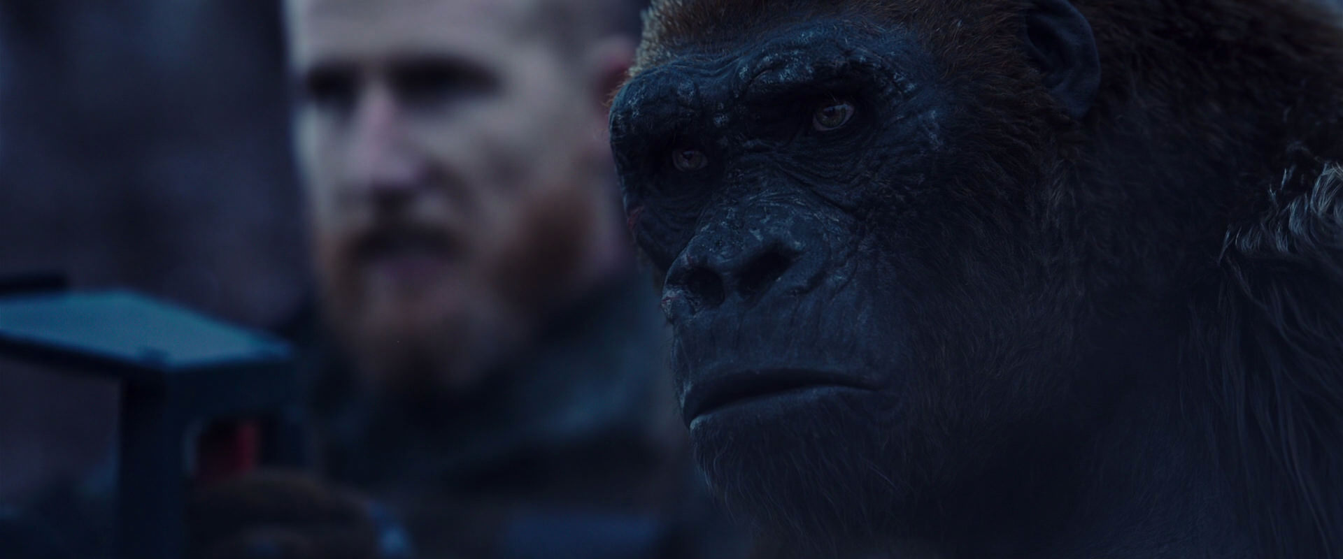 War for the Planet of the Apes (2017) movie still 14116