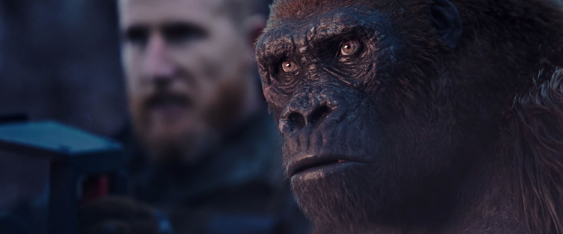 War for the Planet of the Apes (2017) HD screenshot 14117