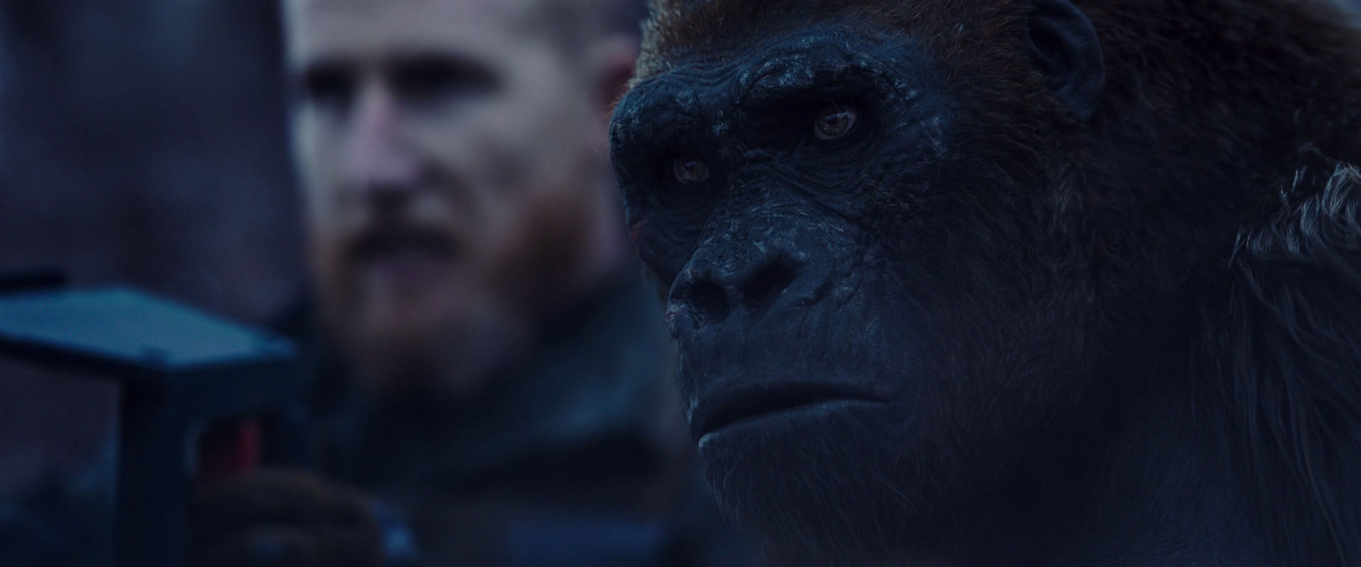 War for the Planet of the Apes (2017) screencap 14118