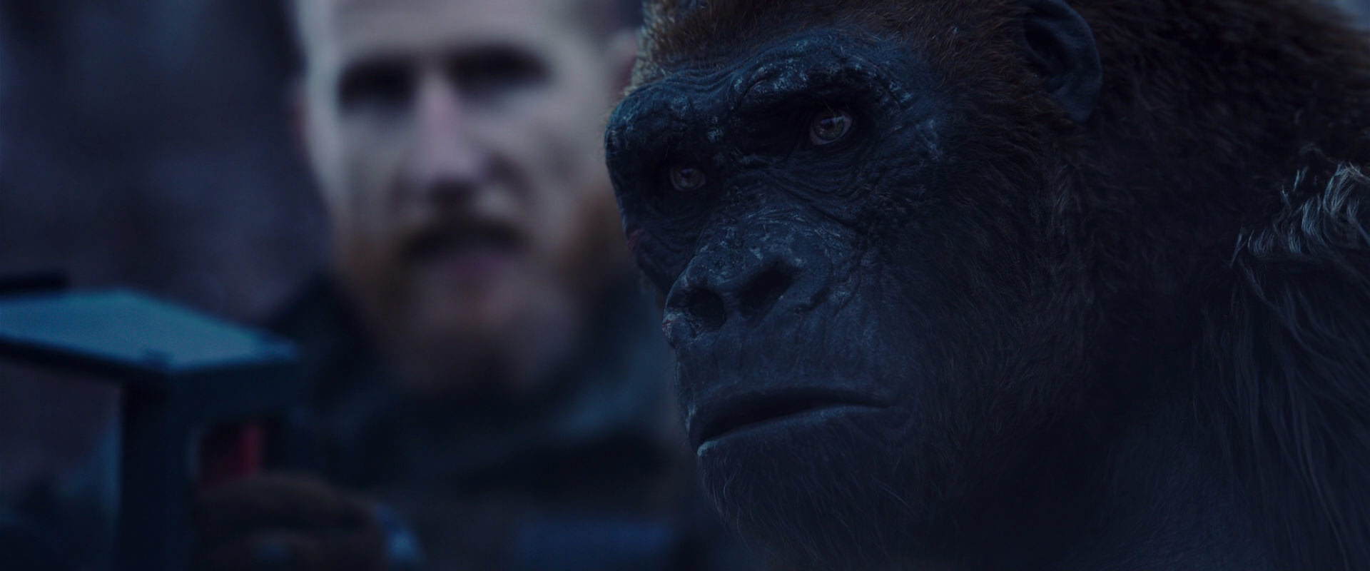War for the Planet of the Apes (2017) movie still 14119