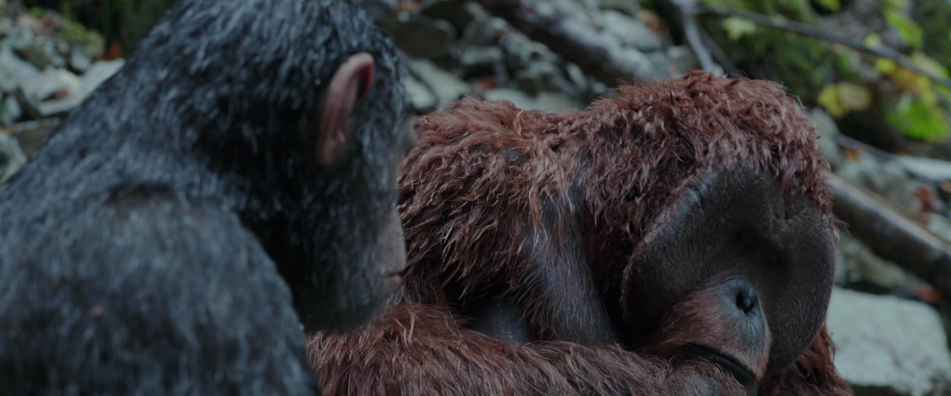 War for the Planet of the Apes (2017) HD screenshot 1412