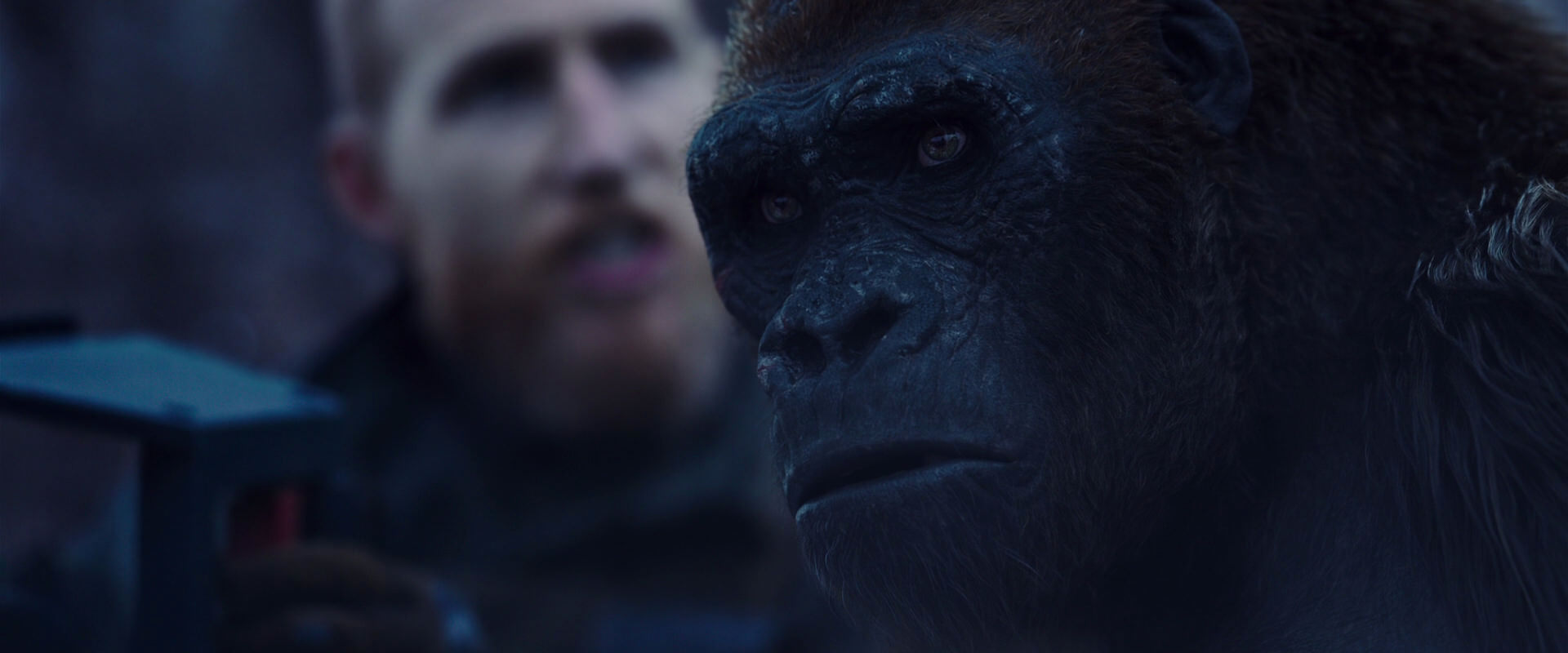 War for the Planet of the Apes (2017) screencap 14121